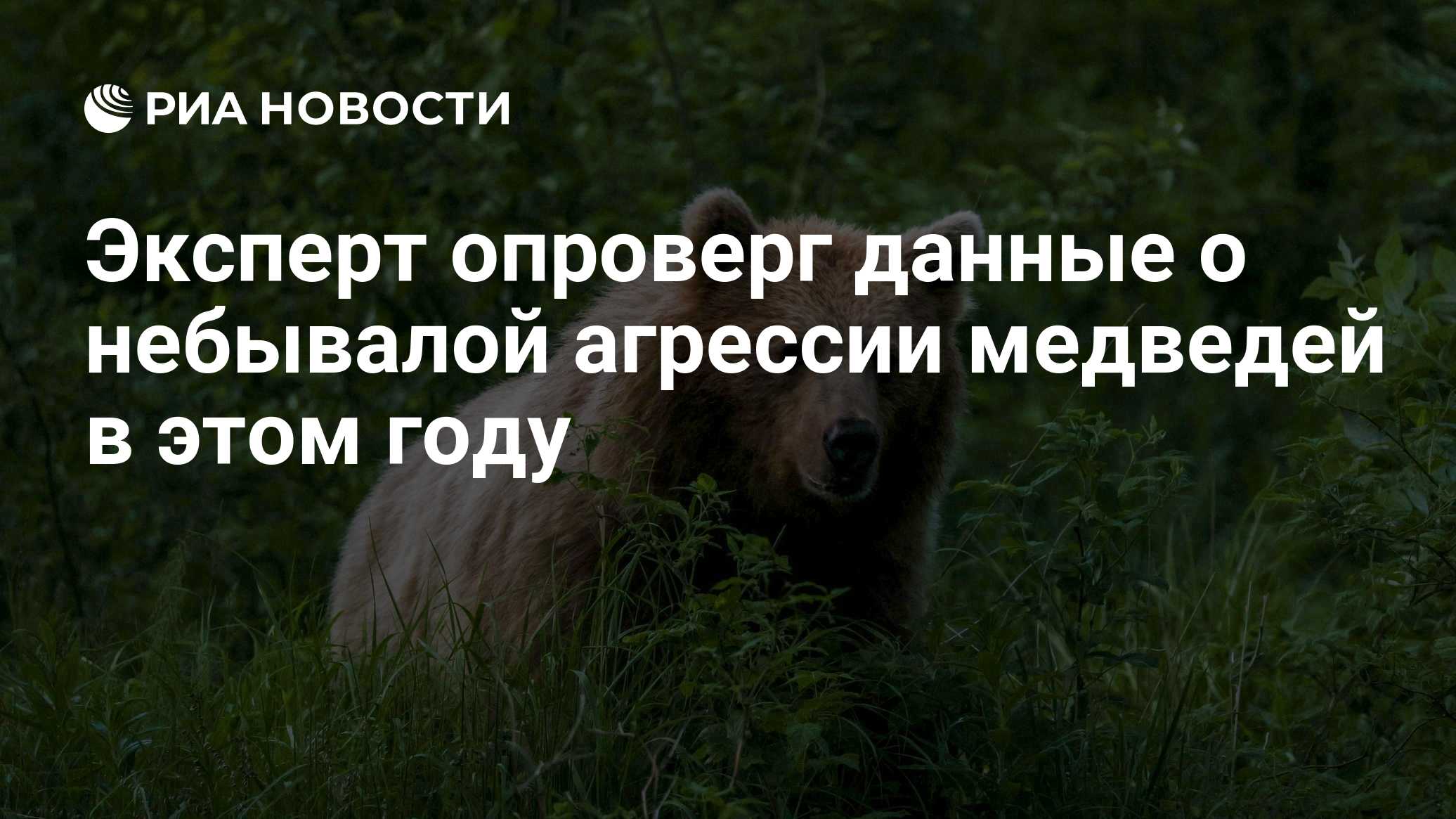 Фото к публикации