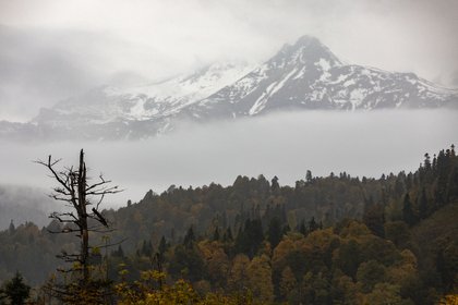 Фото к публикации