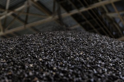 Фото к публикации