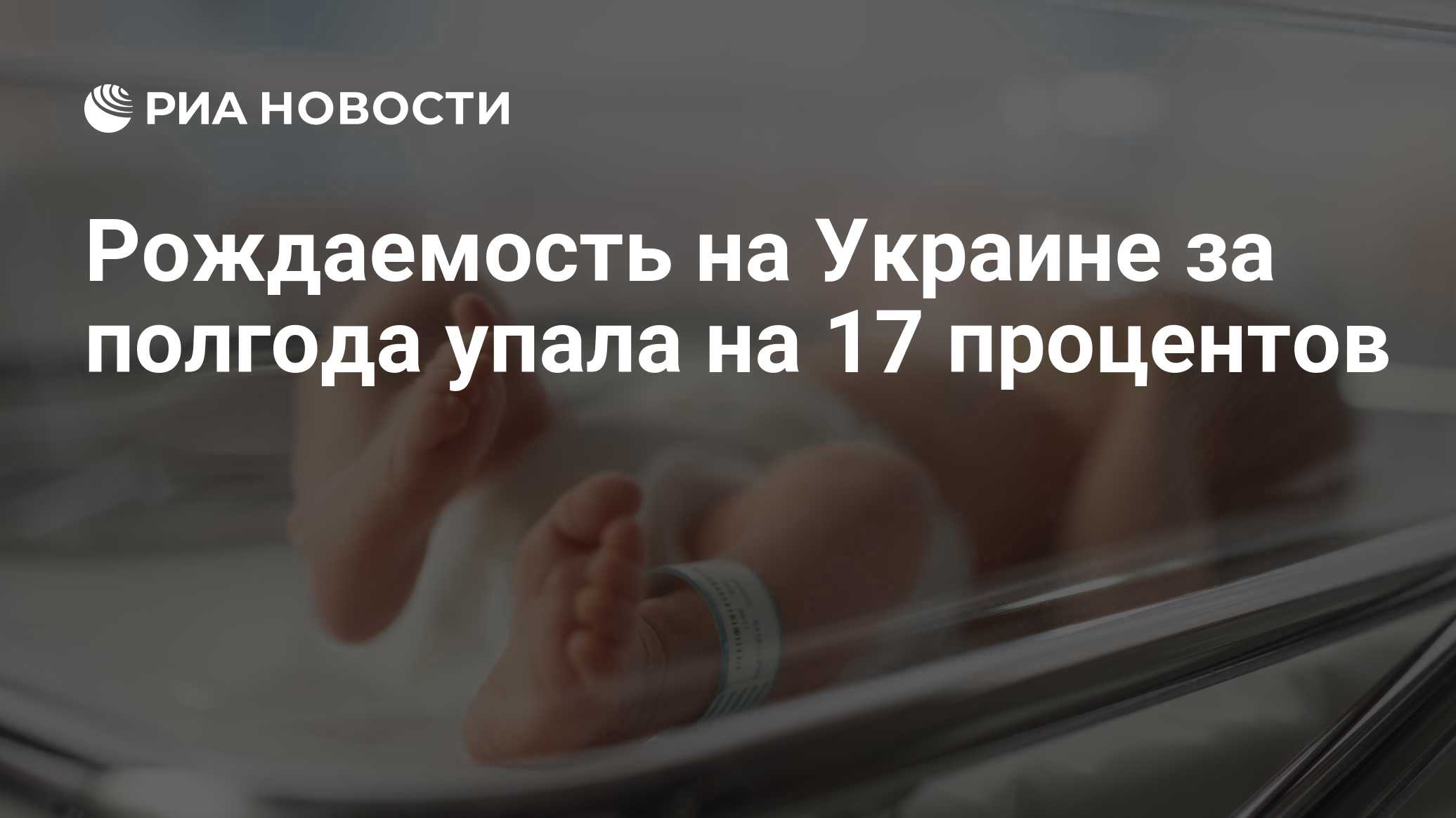 Фото к публикации