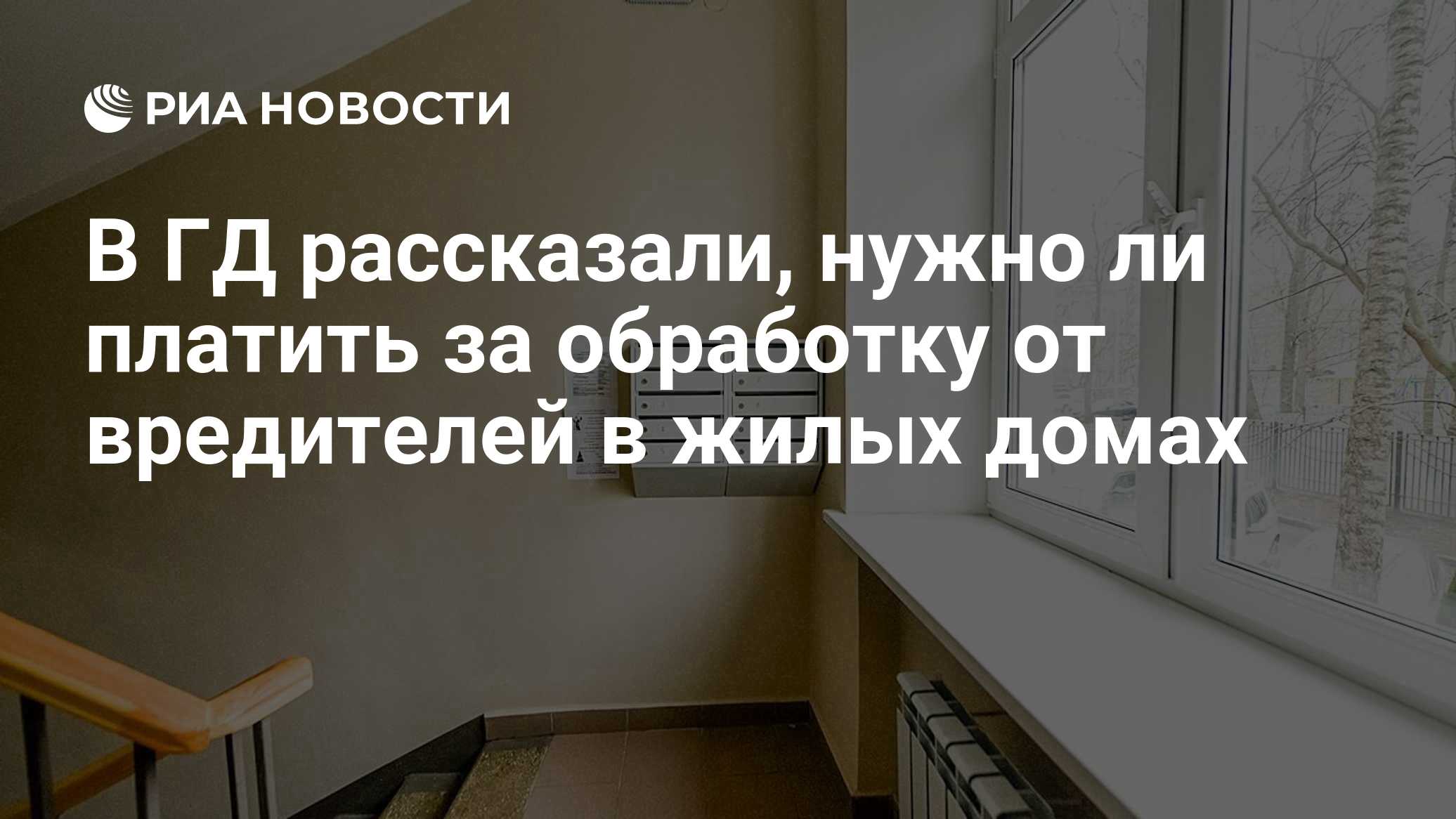 Фото к публикации