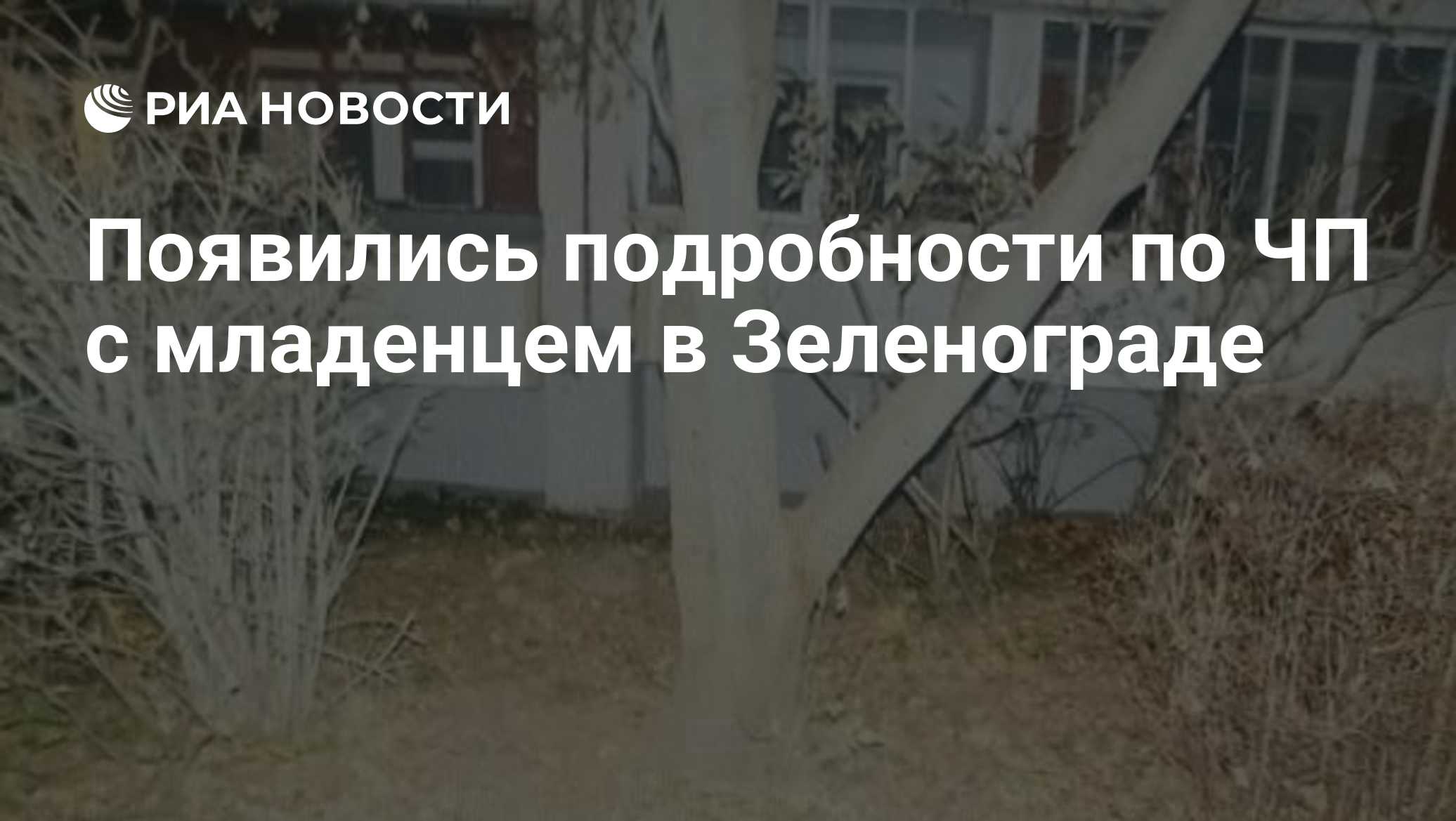 Фото к публикации