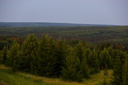 Фото к публикации