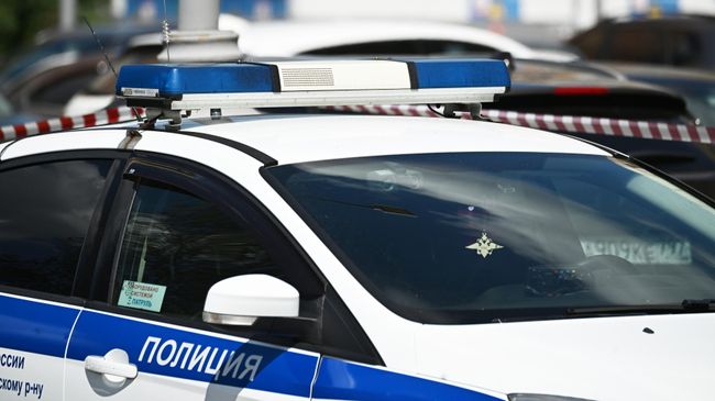 Фото к публикации
