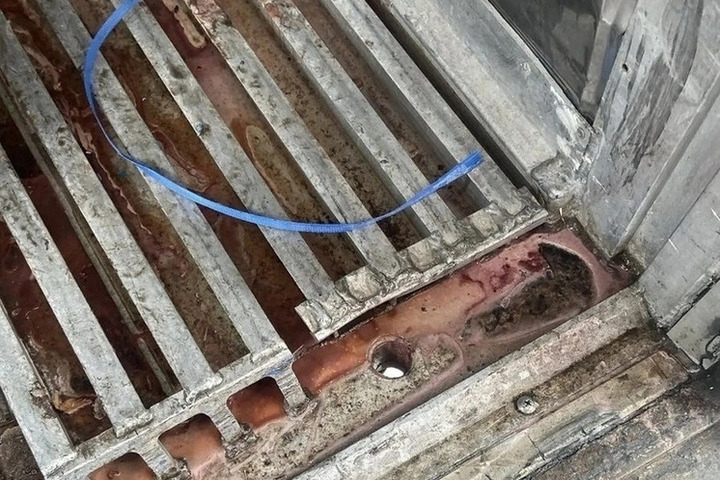 В Барнауле уничтожили более трех тонн испорченных кальмаров из Приморья