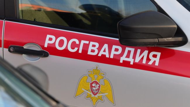 Во дворце в Ленинградской области задержали пьяного дебошира в трусах