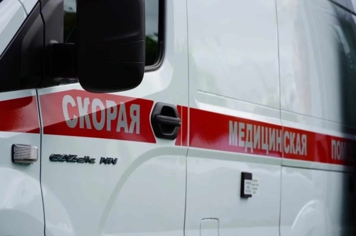 Ядовитая гадюка укусила ребёнка во время отдыха на даче