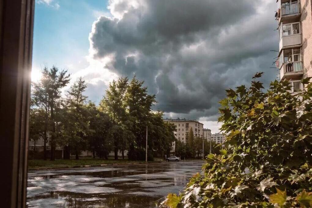 24 августа Югру ждет теплая погода с кратковременными дождями