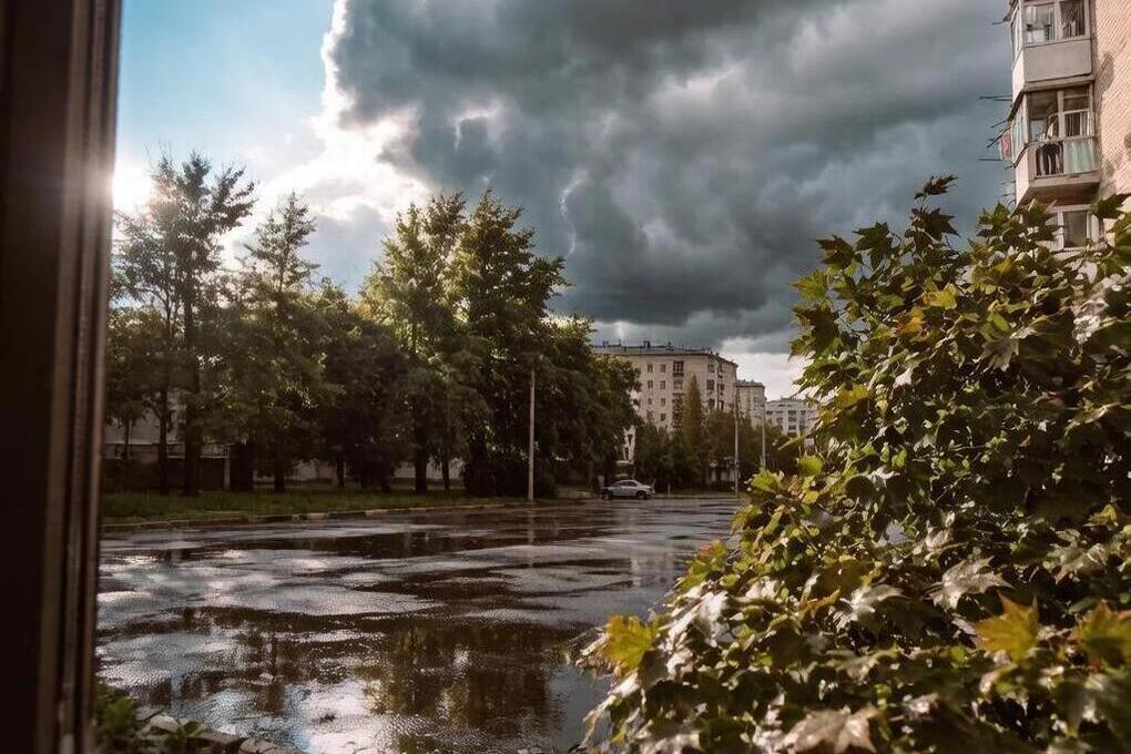 24 августа в Тюменской области погода будет переменчивой