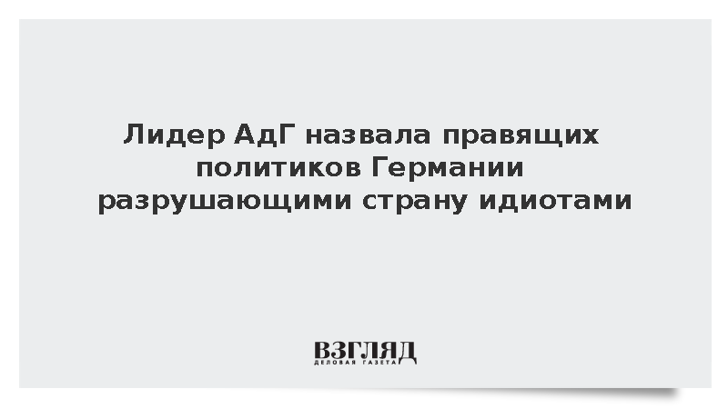 Сопредседатель АдГ Вайдель обвинила руководство Германии в разрушении страны