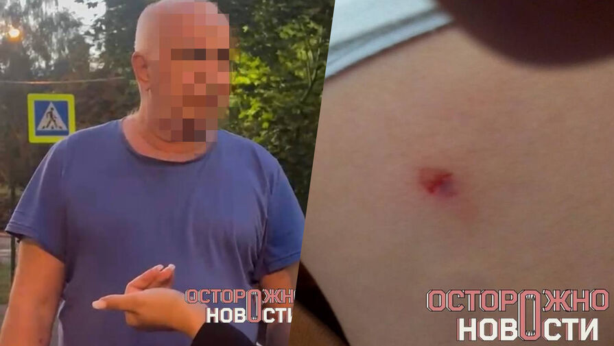 Пенсионера обвинили в стрельбе по детям в Подмосковье