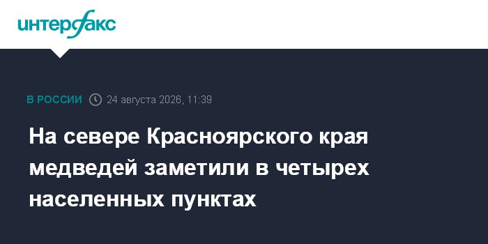 На севере Красноярского края медведей заметили в четырех населенных пунктах