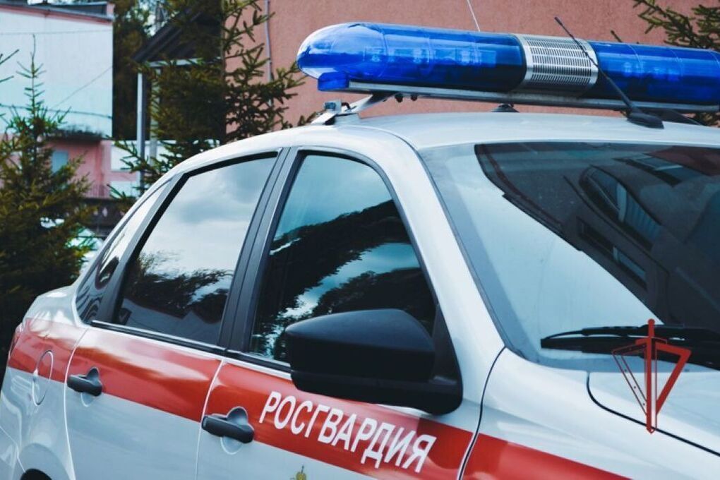 В Пензе росгвардейцы задержали пьяных дебоширов, сломавших дверь в ТРК