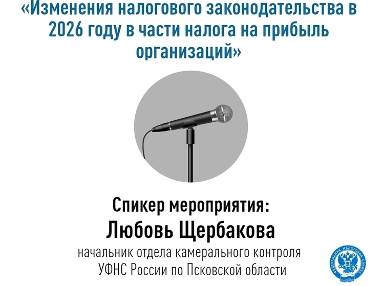 Псковская налоговая служба проведёт онлайн-семинар о изменениях по налогу на прибыль
