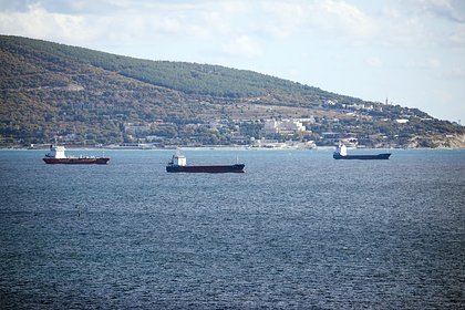 Главному покупателю российской нефти спрогнозировали падение спроса на сырье