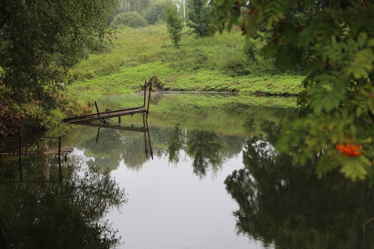 Жителей Серпухова приглашают принять участие во всероссийском фотоконкурсе
