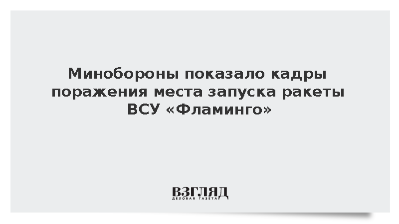 Минобороны показало кадры поражения места запуска ракеты ВСУ «Фламинго»