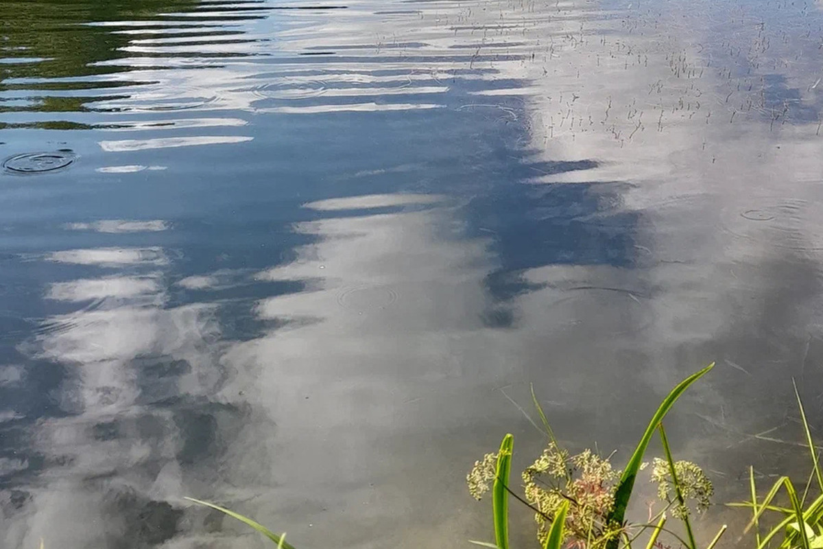 Старорусская прокуратура отжала в пользу государства кусок водохранилища