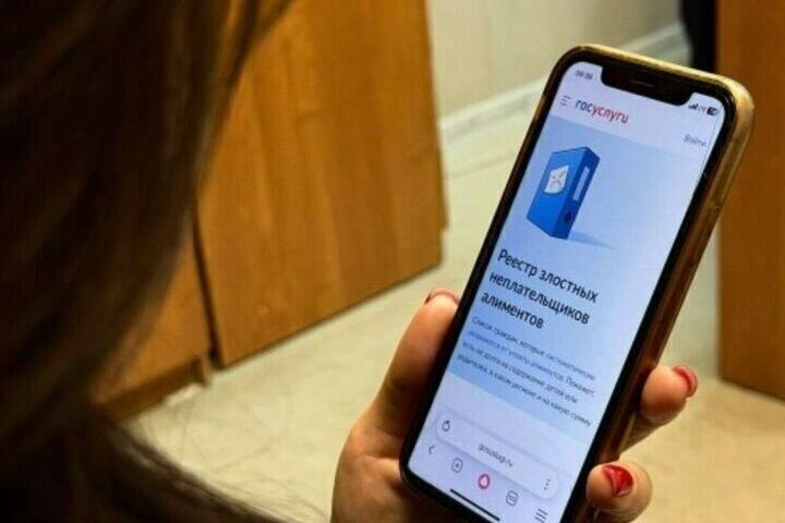 Костромские жители на треть увеличили заявки через Госуслуги Дом
