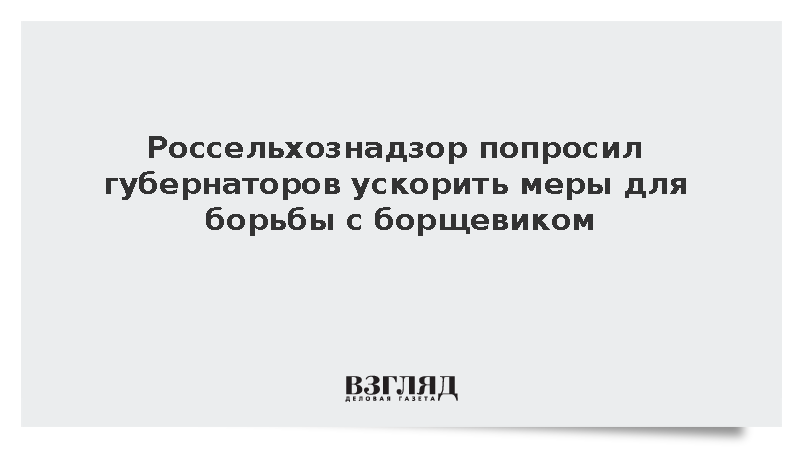 Россельхознадзор попросил губернаторов ускорить меры для борьбы с борщевиком