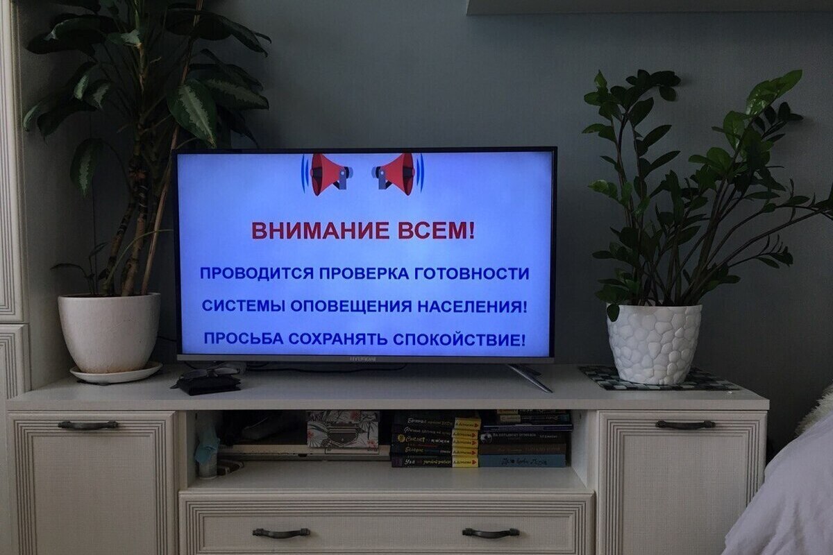 Как работают системы оповещения, рассказал воронежцам Александр Гусев