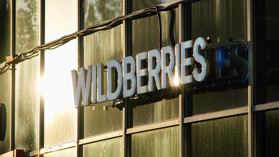 Правительство утвердило меры поддержки пострадавших селлеров Wildberries