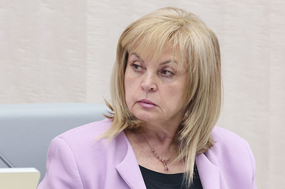 Памфилова заявила о 300 тыс. фейковых заявлений в сети по выборам в России