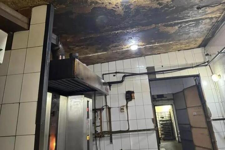 Плесень и насекомых нашли на хлебном производстве под Чебоксарами
