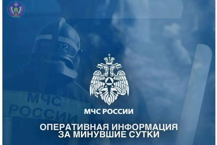 За сутки в Брянской области ликвидировано шесть пожаров