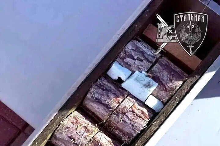 В Запорожской области дроны сбрасывают мины под видом пеньков