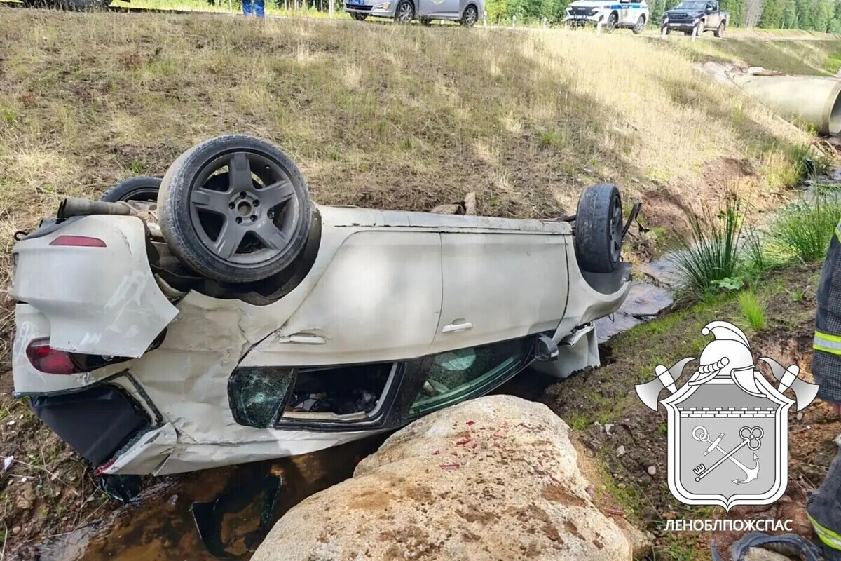 Полиция начала проверку после ДТП с пьяным водителем и подростками в Сертолово