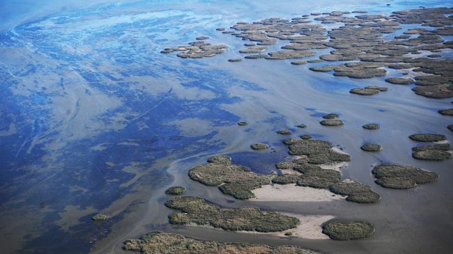 В Каспийском море у берегов Казахстана появился новый остров