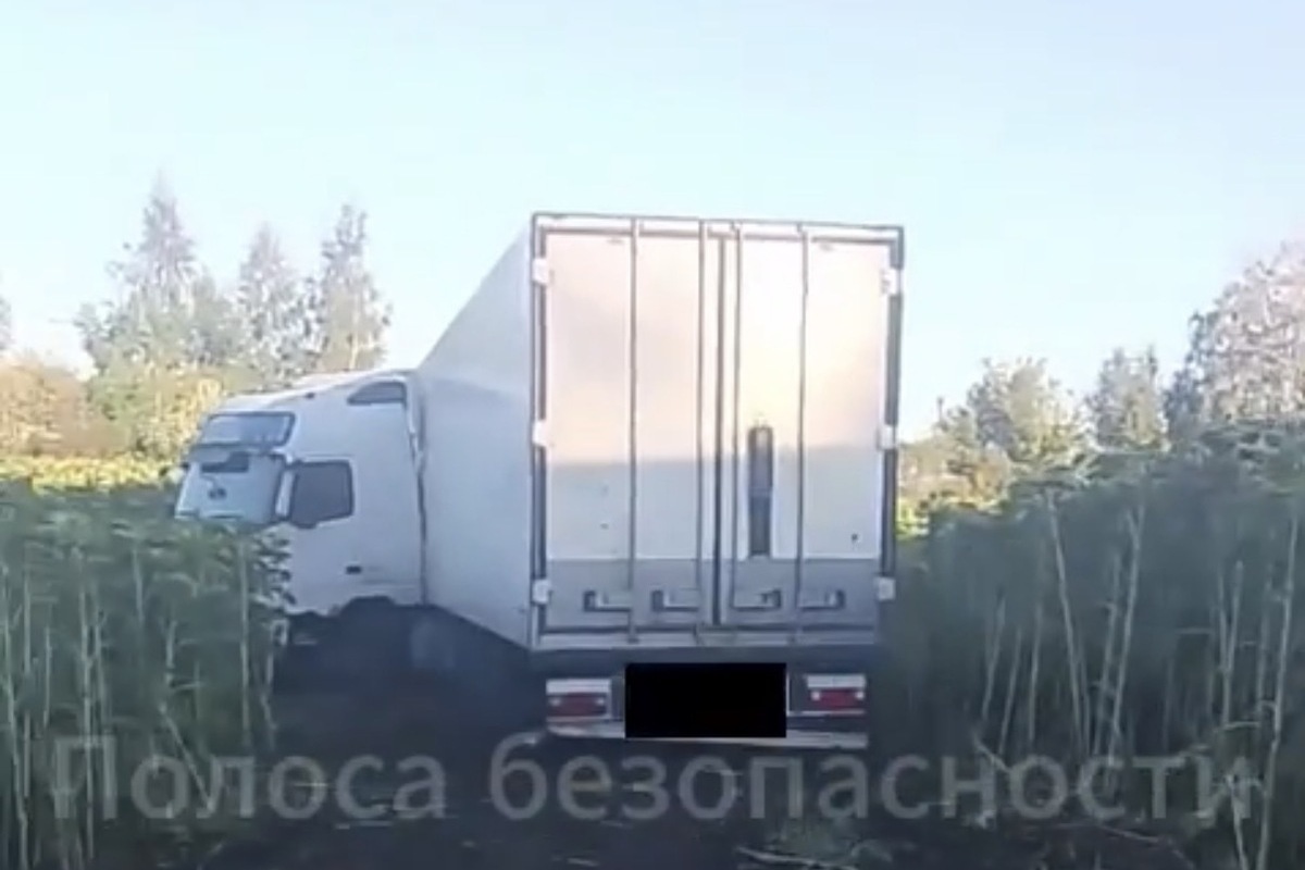 На трассе Р‑22 в Тамбовской области фура вылетела в кювет