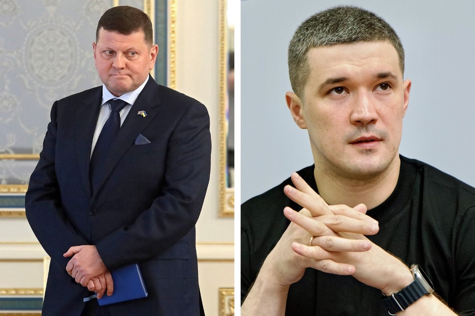 Ставки на Залужного и Федорова: Запад тестирует сменщиков Зеленского на посту президента Украины