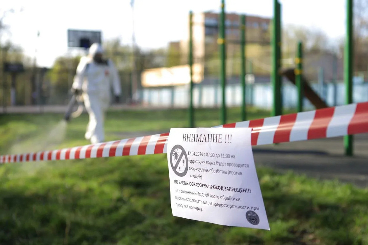 С начала года в Курской области от клещей пострадали более 600 детей
