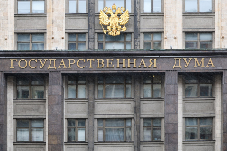 В Госдуме высказались об уголовном деле блогера Шурыгиной