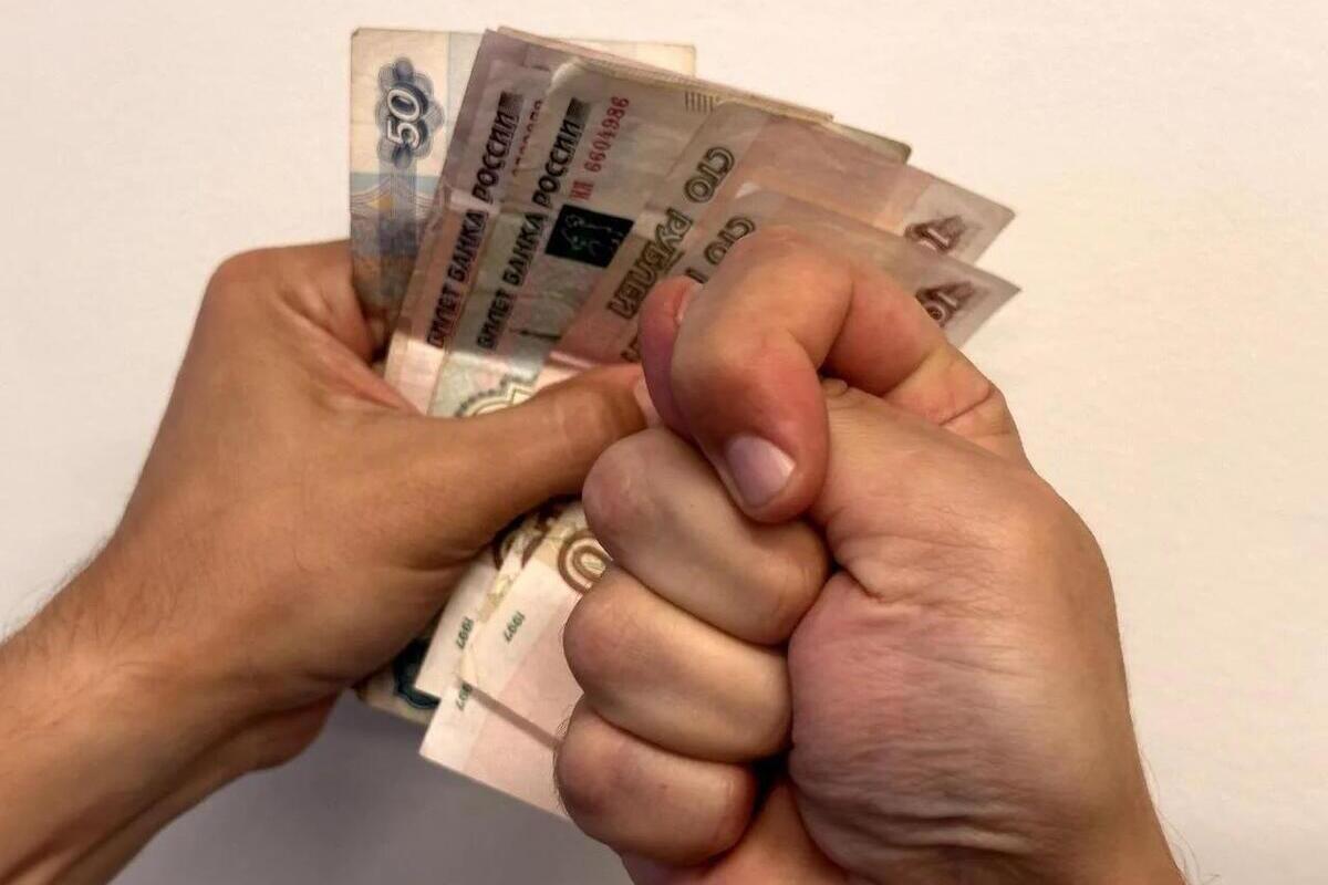 Завод с выручкой 287 млн рублей в Старой Руссе задолжал работнику зарплату