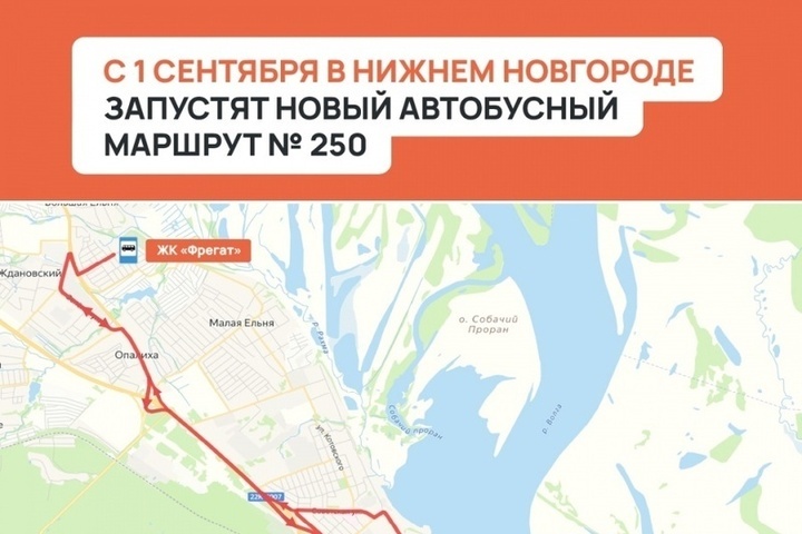 Новый автобус № 250 запустят в Нижнем Новгороде с 1 сентября