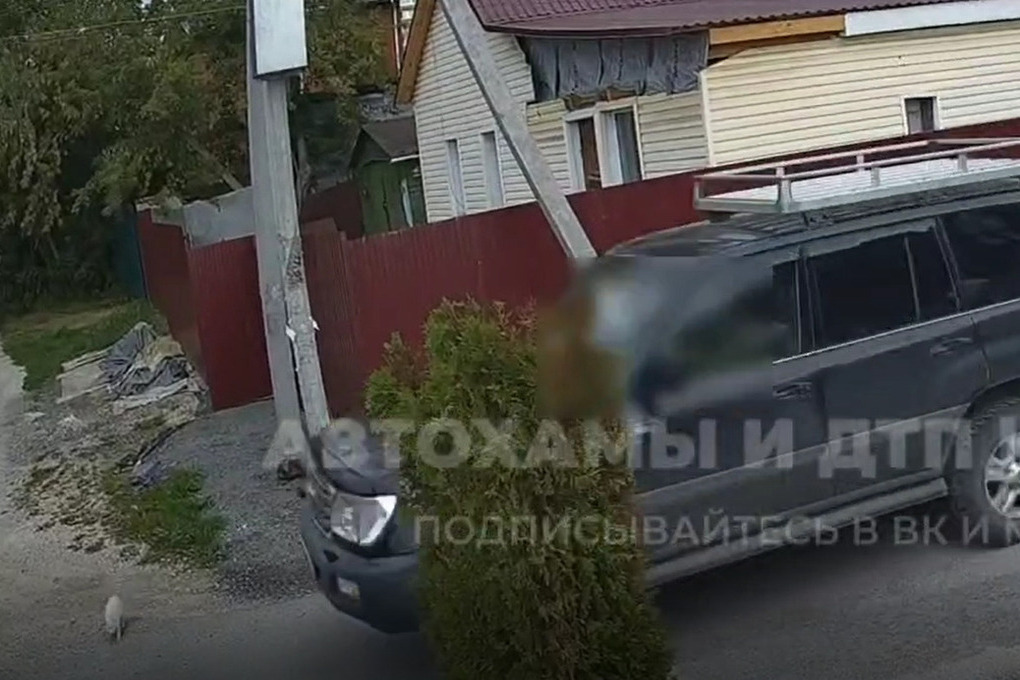 В Туле водитель Land Cruiser задавил котика и скрылся с места ДТП