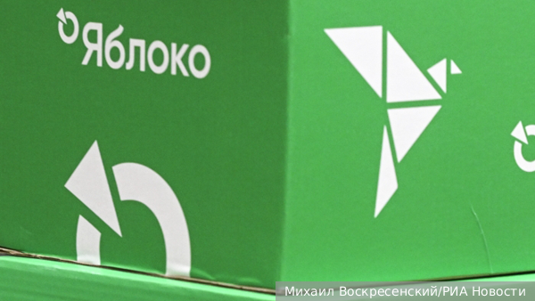 Политолог Панарин: Поддержка из-за рубежа вытолкнула «Яблоко» в инфополе