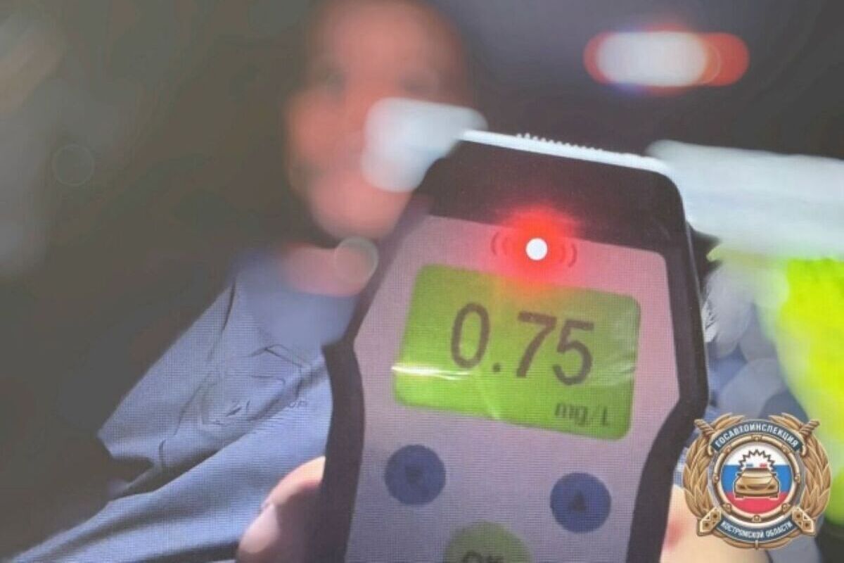 В Костроме задержали в стельку пьяного мигранта на "Ладе" приехавшего на заработки