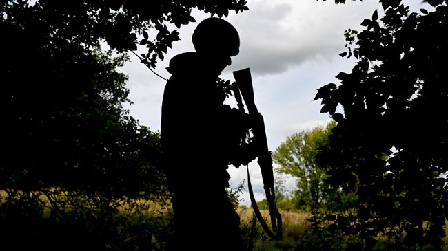 Дуб спас российских артиллеристов от смерти под Артемовском