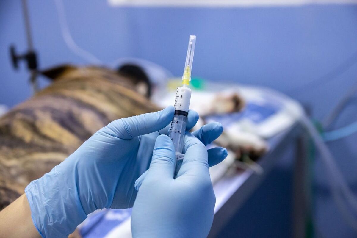 Опасную вакцину для собак изымут из оборота в ЯНАО