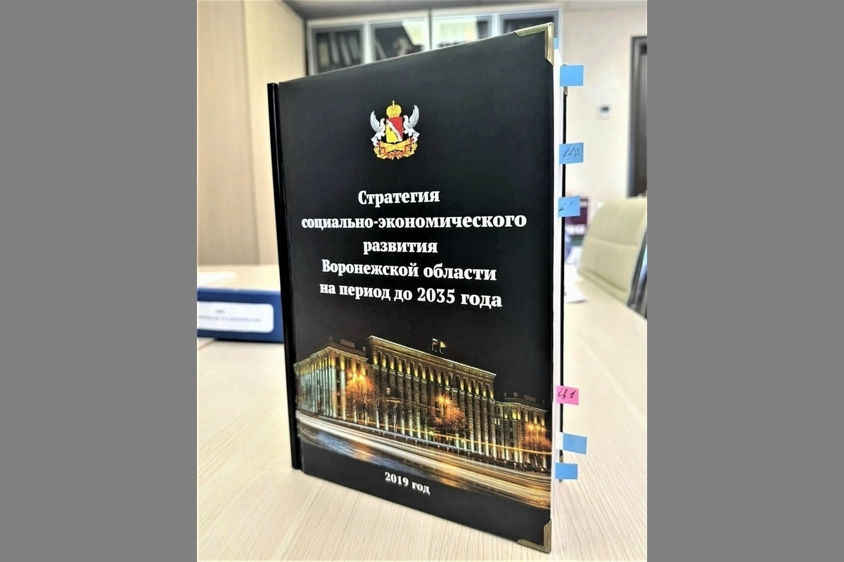 В Стратегию социально-экономического развития Воронежской области до 2035 года внесут пункт об ИИ