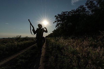 Мирошник рассказал о новом хитром плане Зеленского