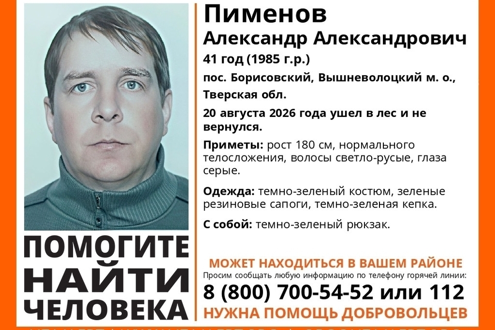В Тверской области ищут пропавшего неделю назад в лесу мужчину