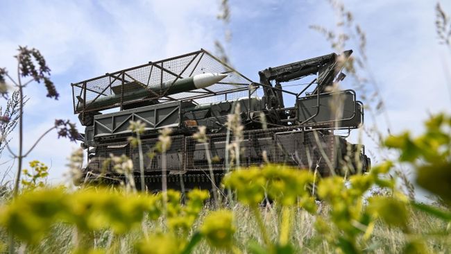 Над Брянской областью за сутки уничтожили 30 украинских БПЛА