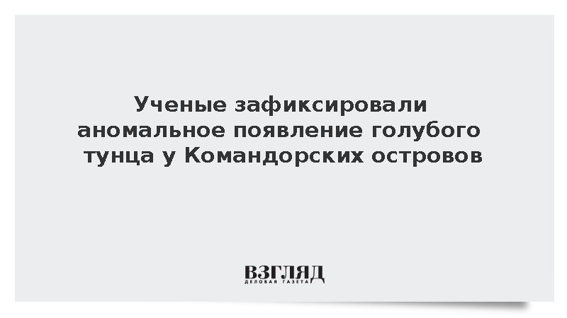 Появление голубого тунца впервые зафиксировано у Командорских островов