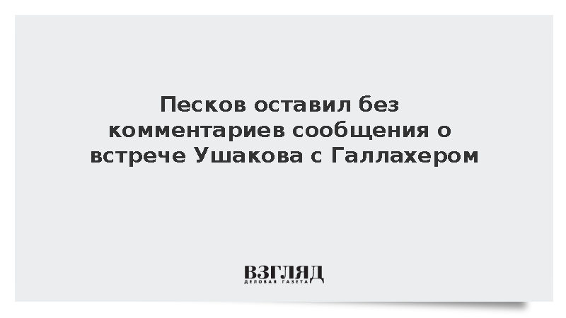 Песков оставил без комментариев сообщения о встрече Ушакова с Галлахером