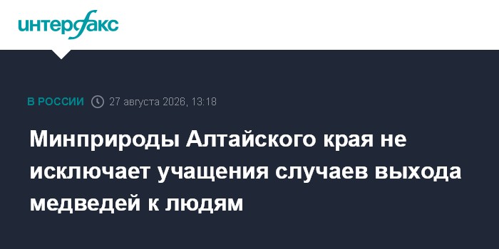 Минприроды Алтайского края не исключает учащения случаев выхода медведей к людям